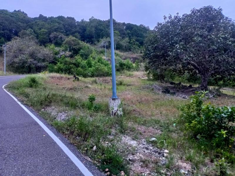 Residential Lot for sale in Maria - image 8