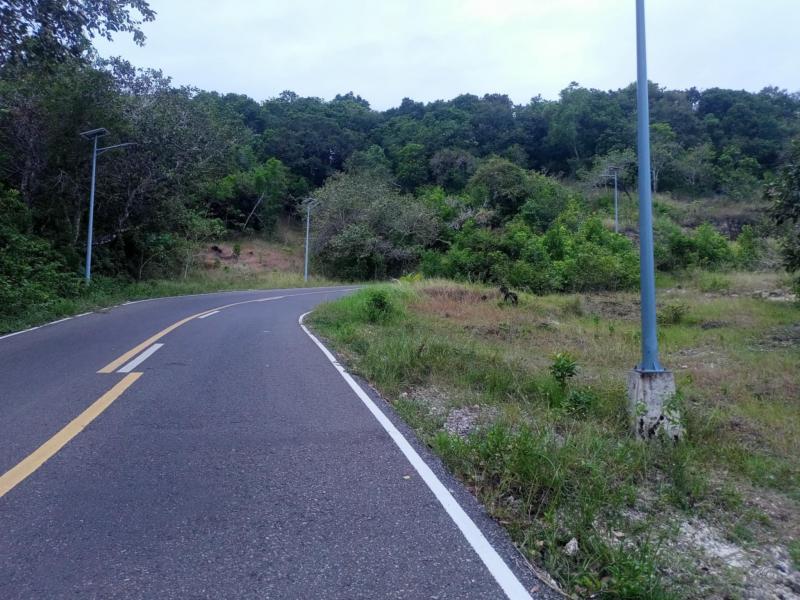 Residential Lot for sale in Maria - image 9