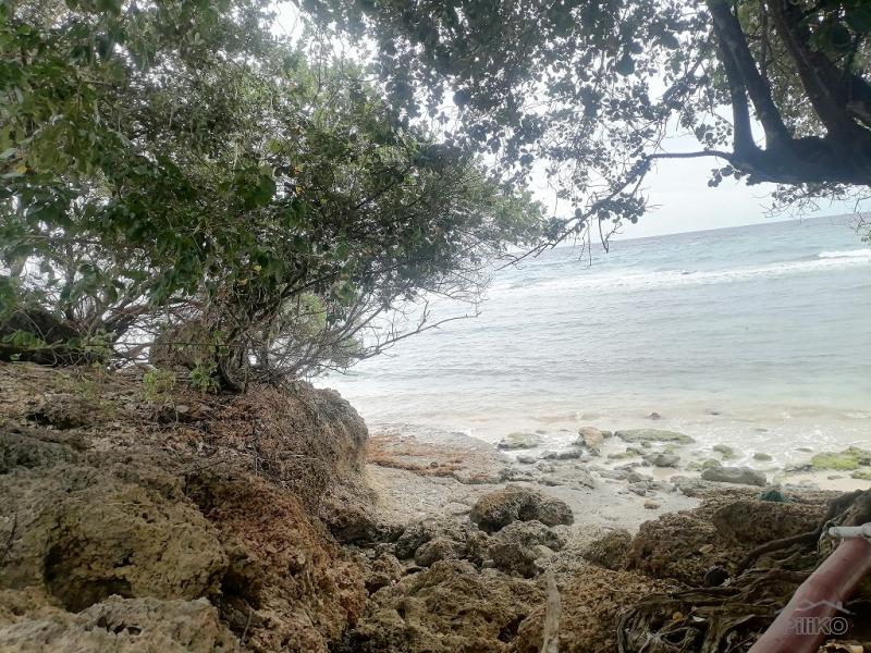 Commercial Lot for sale in Enrique Villanueva - image 10