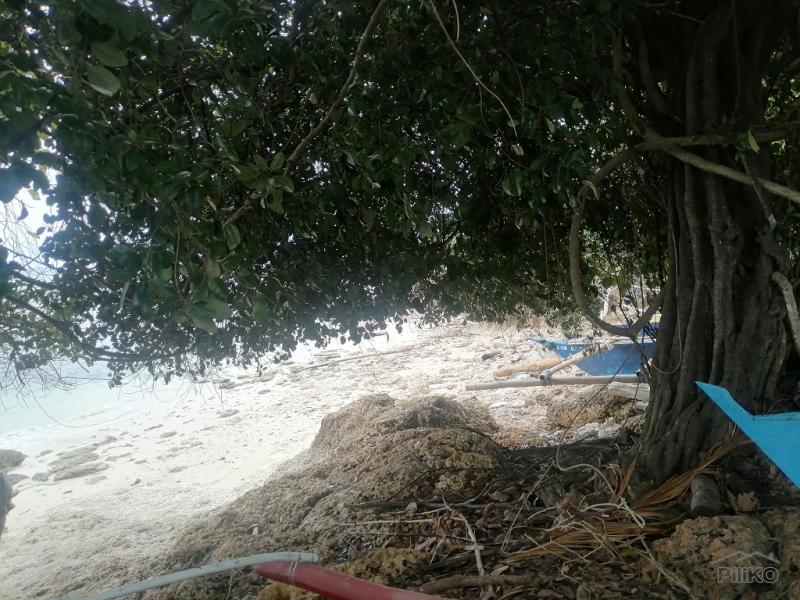Commercial Lot for sale in Enrique Villanueva - image 11