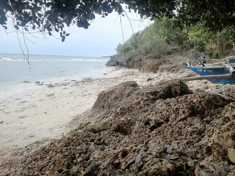 Commercial Lot for sale in Enrique Villanueva - image 12