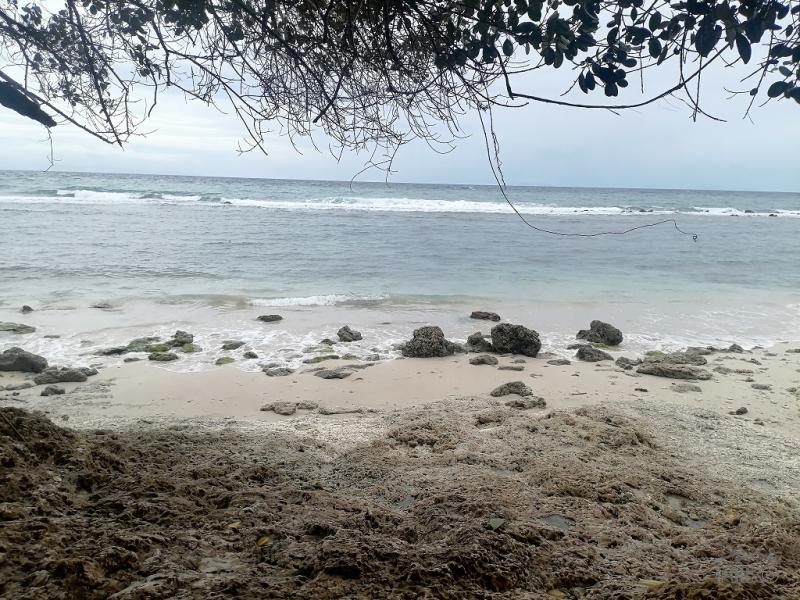 Commercial Lot for sale in Enrique Villanueva - image 13