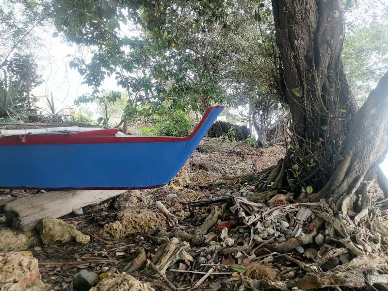 Commercial Lot for sale in Enrique Villanueva - image 14