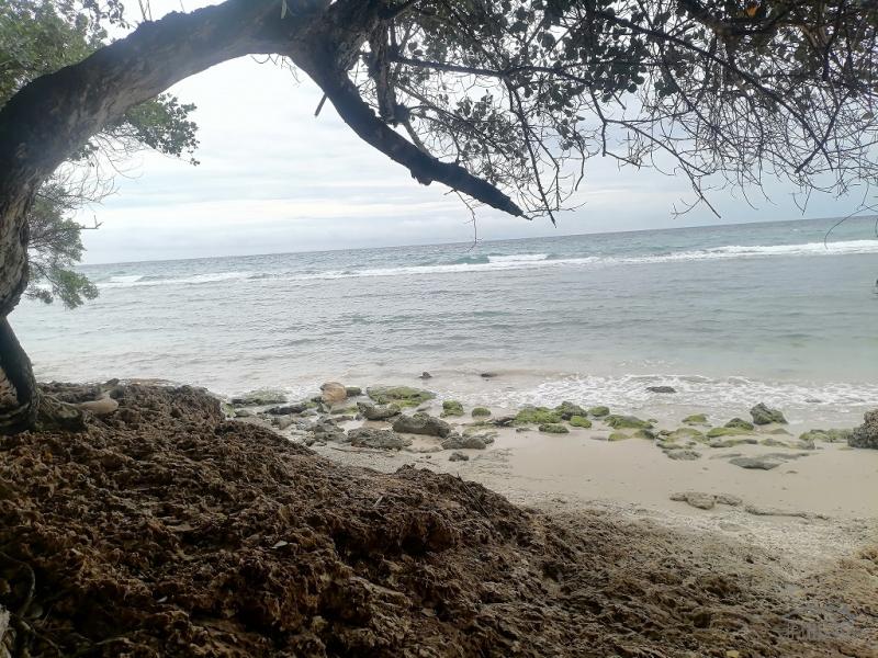 Commercial Lot for sale in Enrique Villanueva - image 15