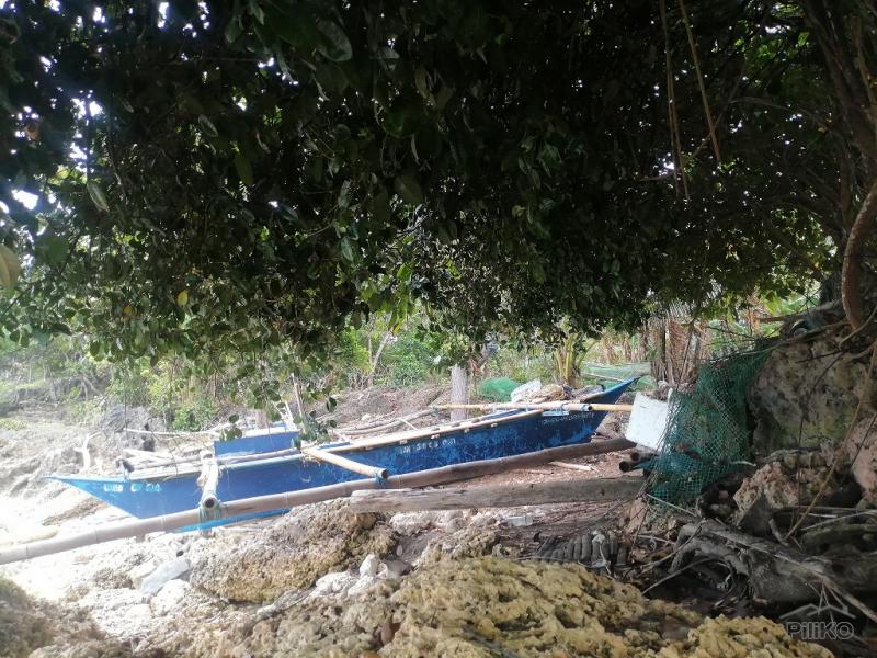 Commercial Lot for sale in Enrique Villanueva - image 16