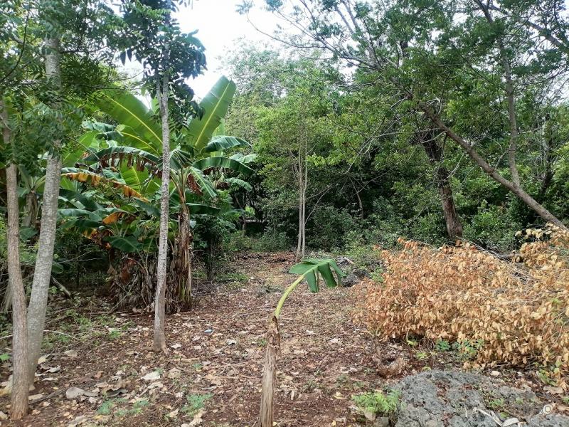 Commercial Lot for sale in Enrique Villanueva in Philippines