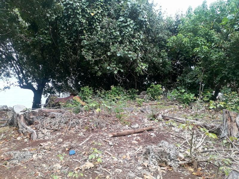 Picture of Commercial Lot for sale in Enrique Villanueva in Siquijor
