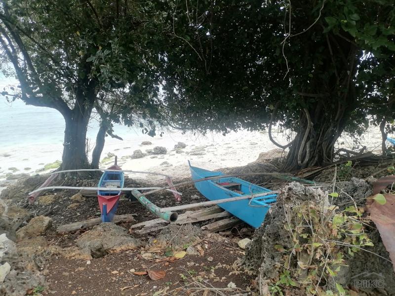 Picture of Commercial Lot for sale in Enrique Villanueva in Philippines