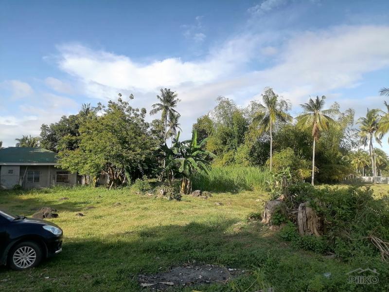 Residential Lot for sale in Dumaguete - image 15