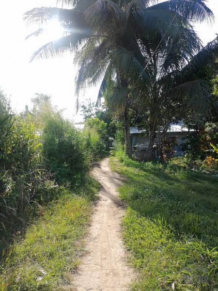 Residential Lot for sale in Dumaguete - image 17