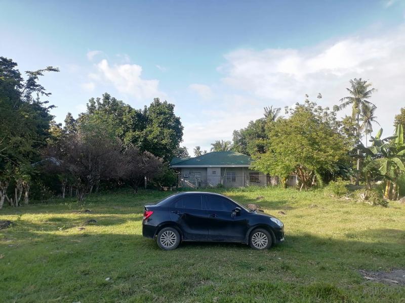 Residential Lot for sale in Dumaguete - image 18