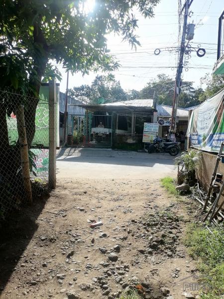 Residential Lot for sale in Dumaguete - image 2