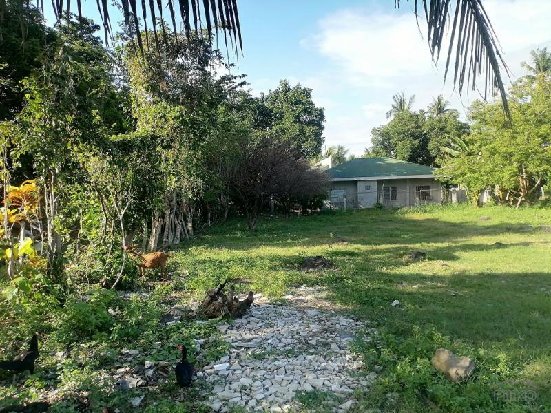 Residential Lot for sale in Dumaguete - image 5
