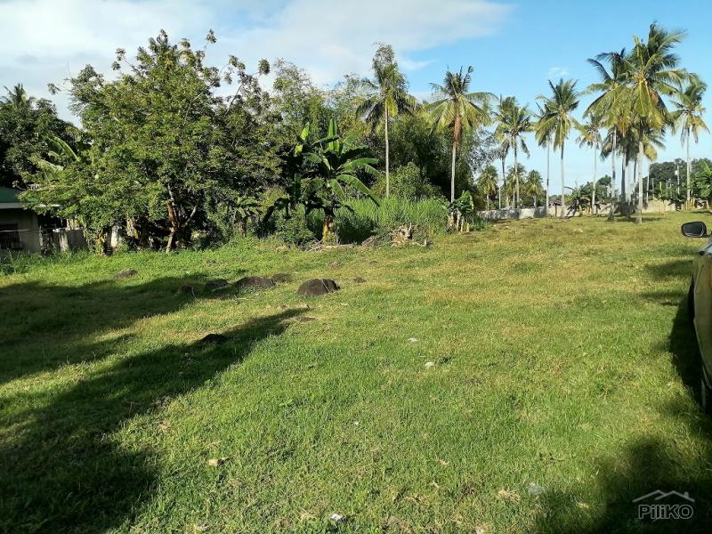 Residential Lot for sale in Dumaguete - image 8