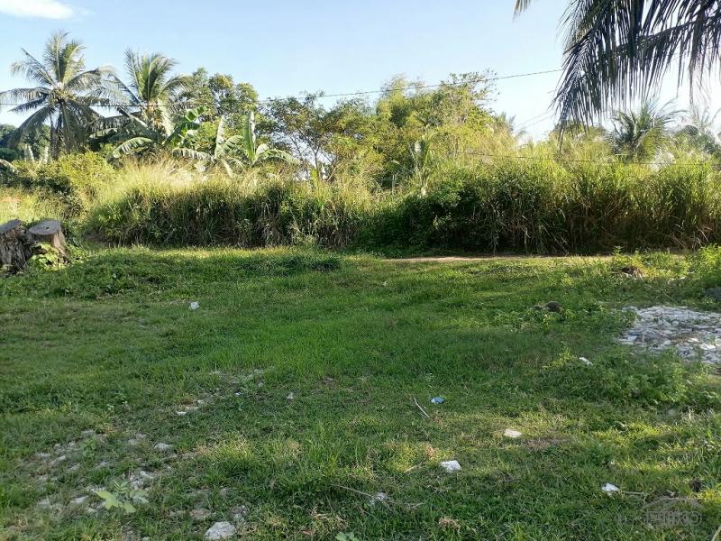 Residential Lot for sale in Dumaguete - image 9