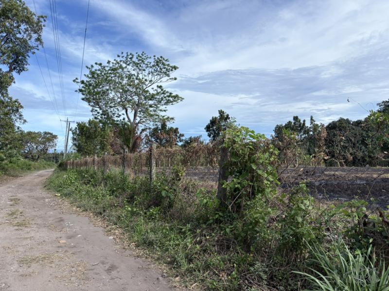 Lot for sale in Bacong - image 9