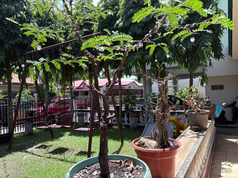 5 bedroom House and Lot for sale in Dumaguete - image 13