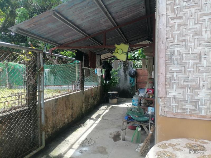 4 bedroom House and Lot for sale in Valencia - image 15