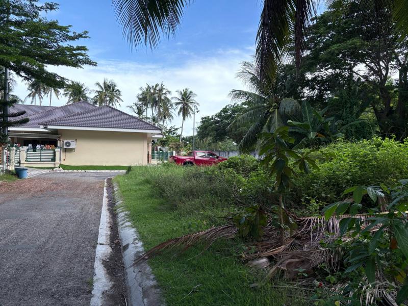 Residential Lot for sale in Zamboanguita in Philippines - image