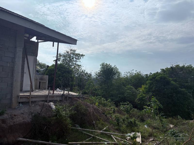 Agricultural Lot for sale in Zamboanguita - image 11