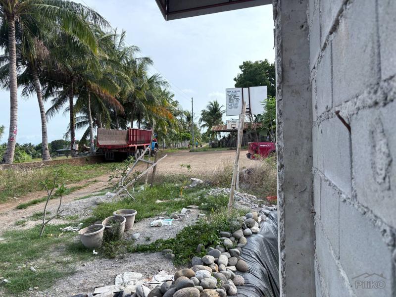 Agricultural Lot for sale in Zamboanguita - image 14
