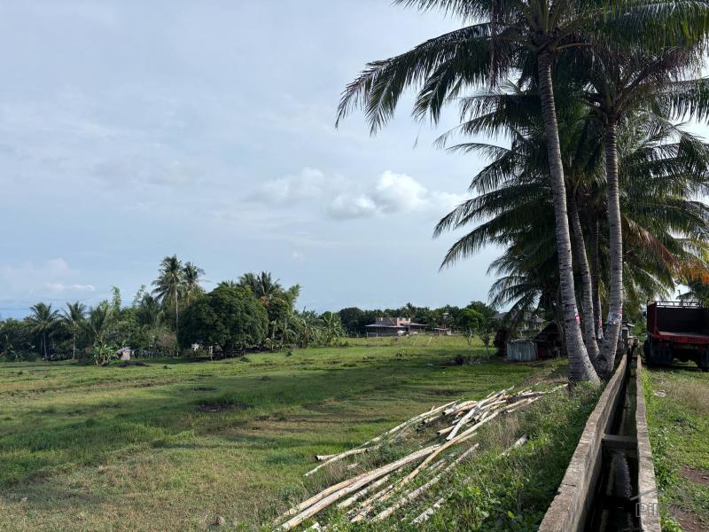 Agricultural Lot for sale in Zamboanguita