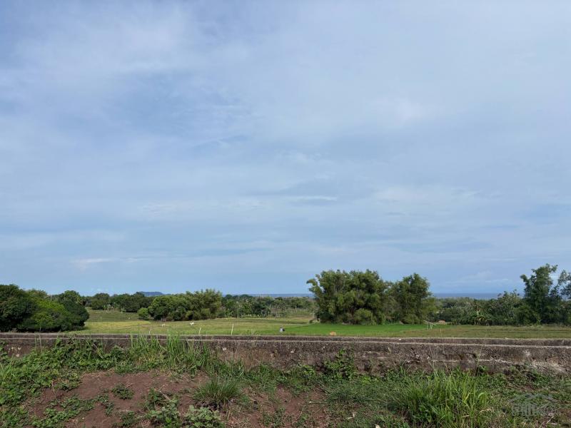 Agricultural Lot for sale in Zamboanguita in Negros Oriental