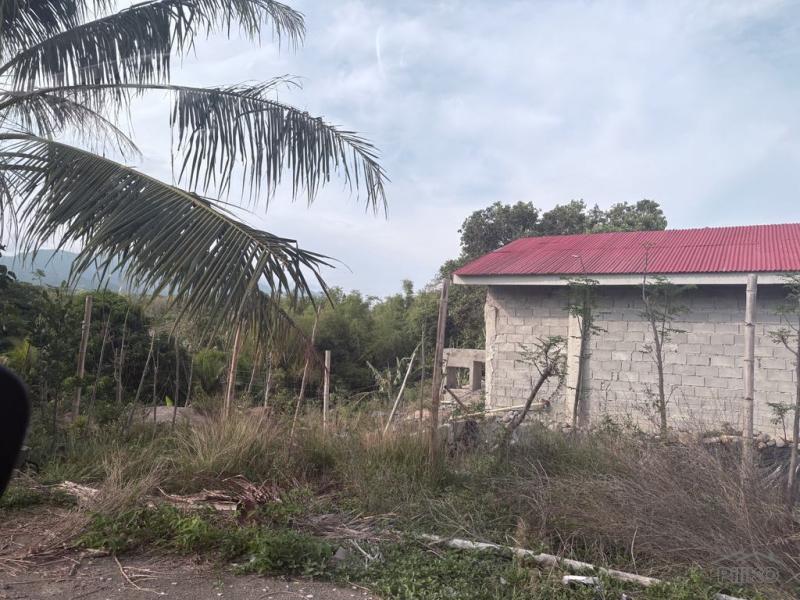 Picture of Agricultural Lot for sale in Zamboanguita in Negros Oriental