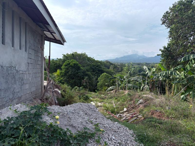 Agricultural Lot for sale in Zamboanguita in Negros Oriental - image