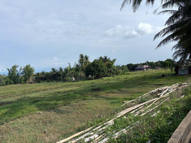 Agricultural Lot for sale in Zamboanguita in Philippines - image