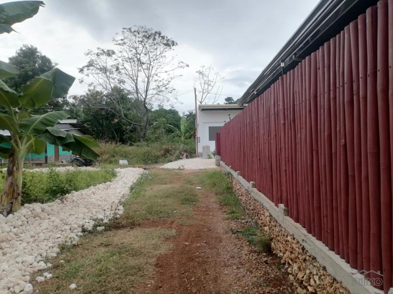 Apartment for sale in San Juan - image 7