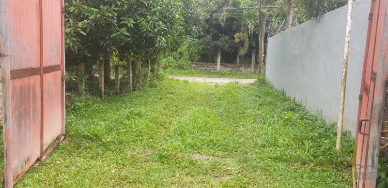 Agricultural Lot for sale in Dumaguete - image 11