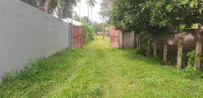 Agricultural Lot for sale in Dumaguete - image 13