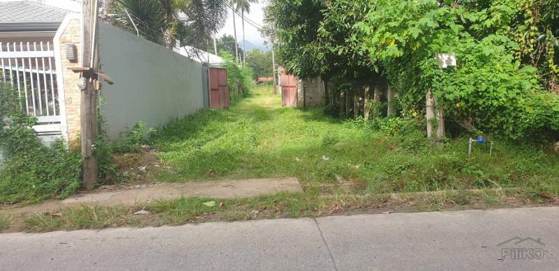 Agricultural Lot for sale in Dumaguete - image 14