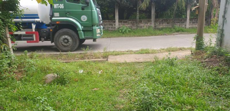 Agricultural Lot for sale in Dumaguete - image 16