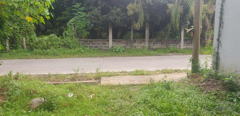 Agricultural Lot for sale in Dumaguete - image 18
