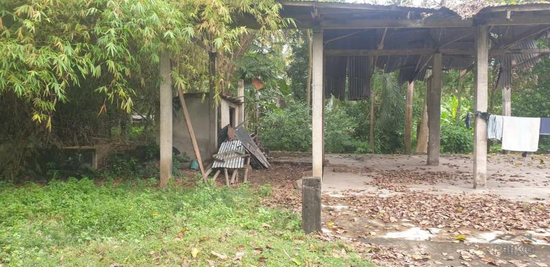 Agricultural Lot for sale in Dumaguete