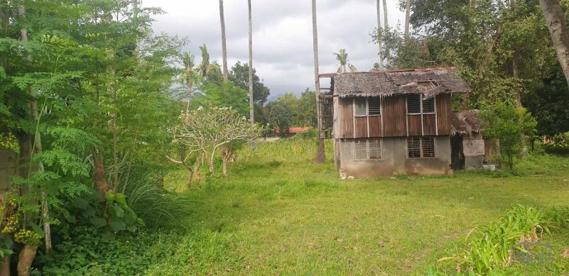 Agricultural Lot for sale in Dumaguete in Negros Oriental