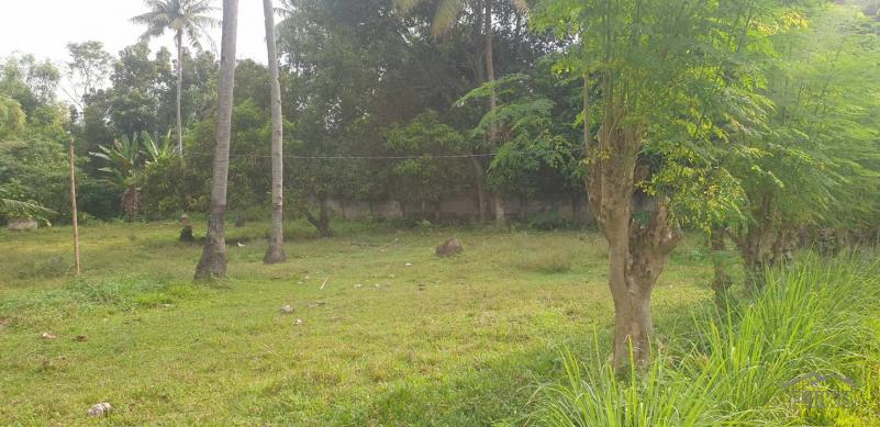 Agricultural Lot for sale in Dumaguete in Philippines