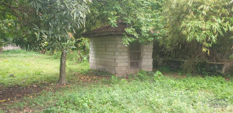 Picture of Agricultural Lot for sale in Dumaguete in Negros Oriental