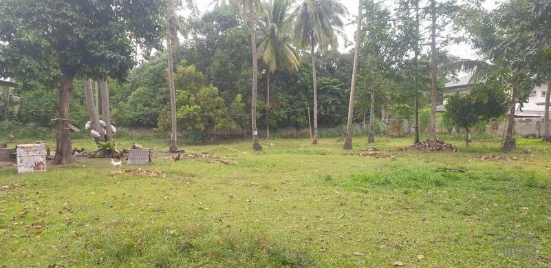 Agricultural Lot for sale in Dumaguete in Negros Oriental - image
