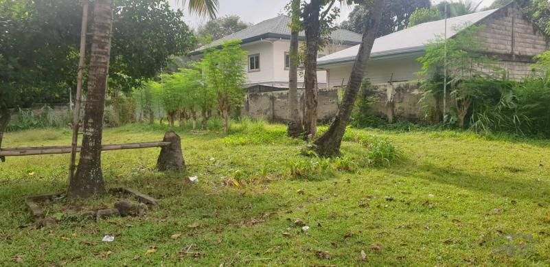 Agricultural Lot for sale in Dumaguete - image 9