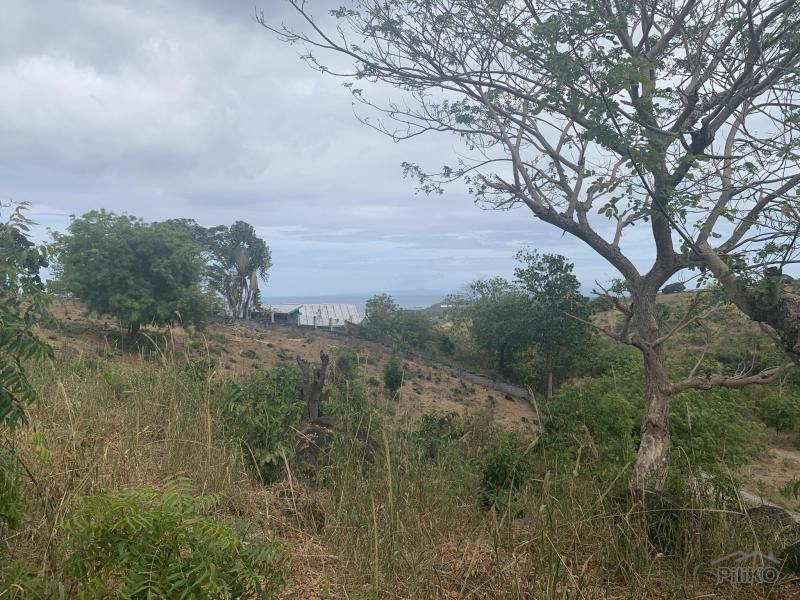 Residential Lot for sale in Sibulan - image 10