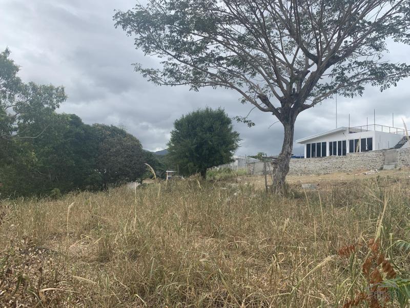 Residential Lot for sale in Sibulan - image 11