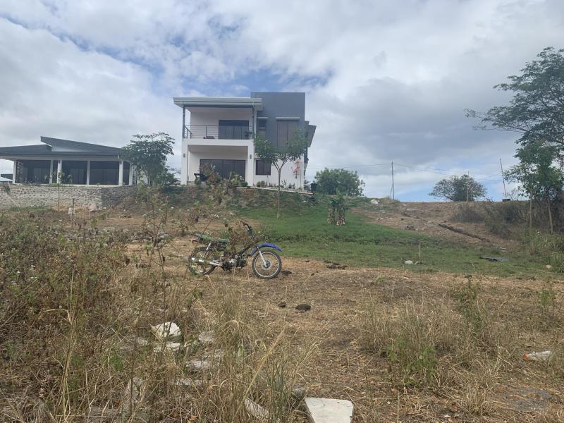 Residential Lot for sale in Sibulan - image 12