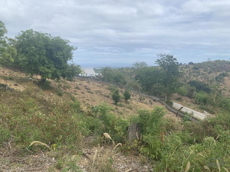 Picture of Residential Lot for sale in Sibulan