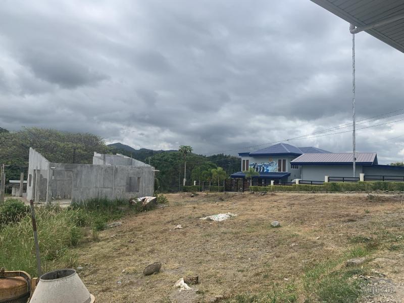 Residential Lot for sale in Sibulan in Negros Oriental