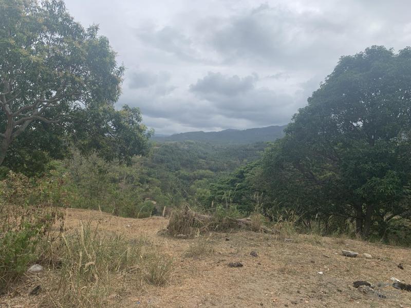 Picture of Residential Lot for sale in Sibulan in Negros Oriental