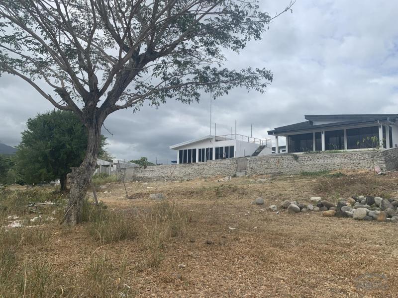 Residential Lot for sale in Sibulan in Negros Oriental - image
