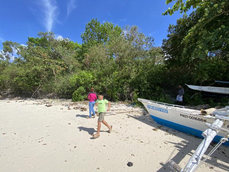 Commercial Lot for sale in Siquijor - image 12